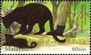 Colnect-2029-300-Leopard-Panthera-pardus---Black.jpg