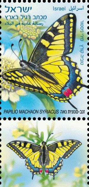 Colnect-3468-562-Swallowtail-Papilio-machaon-ssp-syriacus.jpg