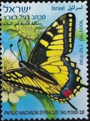 Colnect-3468-574-Swallowtail-Papilio-machaon-ssp-syriacus.jpg
