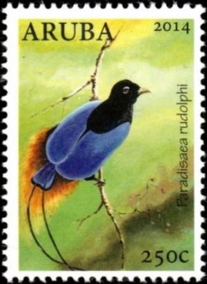Colnect-3776-340-Blue-Bird-of-paradise-Paradisaea-rudolphi.jpg