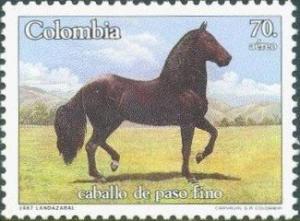 Colnect-523-612-Paso-Fino-Horse.jpg