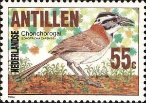 Colnect-954-047-Rufous-collared-Sparrow-nbsp-Zonotrichia-capensis.jpg