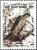 Colnect-1646-663-Eurasian-Sparrowhawk-Accipiter-nisus.jpg