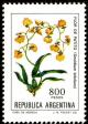 Colnect-1440-777-Flor-de-Patito-Oncidium-bifolium.jpg