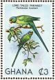Colnect-1459-752-Rose-ringed-Parakeet-Psittacula-krameri.jpg