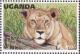 Colnect-1712-452-Lion-Panthera-leo---Female.jpg