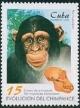 Colnect-2245-838-Chimpanzee-Pan-troglodytes-and-Cranium.jpg