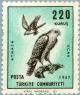 Colnect-2578-705-Eurasian-Sparrowhawk-Accipiter-nisus.jpg