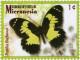Colnect-3470-879-Papilio-euchenor.jpg