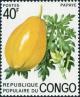Colnect-5861-489-Papaya-Carica-papaya.jpg