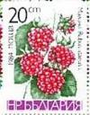 Colnect-1784-768-Raspberry-Rubus-idaeus.jpg