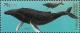 Colnect-3348-266-Pro-Philately---Humpback-Whale-Megaptera-novaeangliae.jpg