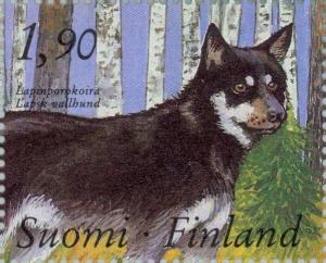 Colnect-160-013-Lapland-Sheepdog-Canis-lupus-familiaris.jpg