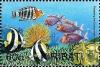 Colnect-2545-313-Red-breasted-Wrasse-Pennat-Coralfish-Violet-Squirrelfish.jpg