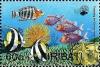 Colnect-2545-319-Red-breasted-Wrasse-Pennat-Coralfish-Violet-Squirrelfish.jpg