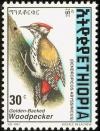 Colnect-2890-976-Abyssinian-Woodpecker-Dendropicos-abyssinicus.jpg