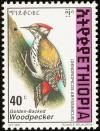 Colnect-2890-994-Abyssinian-Woodpecker-Dendropicos-abyssinicus.jpg