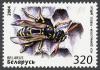 Colnect-857-587-European-Paper-Wasp-Polistes-gallicus.jpg