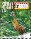 Colnect-3566-059-Green-Peafowl---Pavo-muticus.jpg