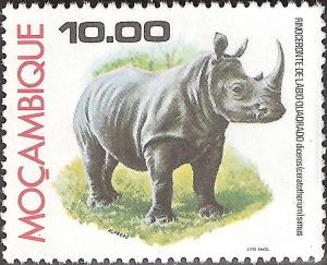 Colnect-1115-441-White-or-Square-lipped-Rhinoceros-Ceratotherium-simum.jpg