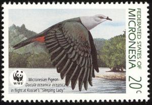 Colnect-1620-527-Micronesian-Imperial-pigeon-Ducula-oceanica.jpg
