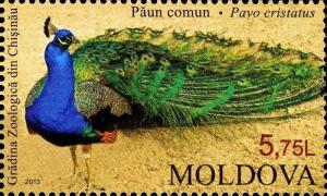 Colnect-2613-169-Indian-Peafowl-Pavo-cristatus.jpg