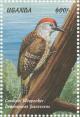Colnect-1715-797-Cardinal-Woodpecker-Dendropicos-fuscescens.jpg