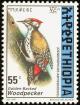 Colnect-2890-997-Abyssinian-Woodpecker-Dendropicos-abyssinicus.jpg