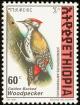 Colnect-2890-998-Abyssinian-Woodpecker-Dendropicos-abyssinicus.jpg