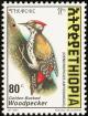 Colnect-2891-002-Abyssinian-Woodpecker-Dendropicos-abyssinicus.jpg