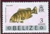 WSA-Belize-Postage-1973.jpg-crop-203x137at192-364.jpg