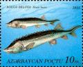 Stamp_of_Azerbaijan_199.jpg-crop-288x233at189-60.jpg
