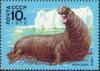 Colnect-2809-248-Southern-Elephant-seal-Mirounga-leonina.jpg
