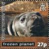 Colnect-2887-987-Southern-Elephant-seal-Mirounga-leonina.jpg