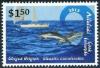 Colnect-3140-264-Striped-dolphin-Stenella-coeruleoalba.jpg