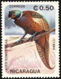 Colnect-1624-482-Ring-necked-Pheasant-Phasianus-colchicus.jpg