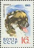 Colnect-193-913-Caucasian-Shepherd-Canis-lupus-familiaris.jpg