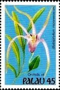 Colnect-3555-682-Bulbophyllum-micronesiacum.jpg