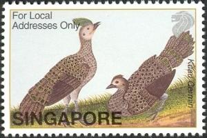 Colnect-1606-825-Malayan-Peacock-pheasant-Polyplectron-malacense.jpg