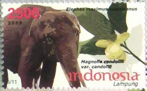 Colnect-530-033-Sumatran-Elephant-Elephas-maximus-sumatranus-Magnolia-ca.jpg