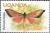 Colnect-4026-415-Moth-Phylloxiphia-formosa.jpg