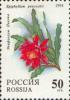 Colnect-513-906-Epiphyllum-peacockii.jpg