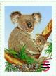 Colnect-1800-919-Koala-Phascolarctos-cinereus.jpg