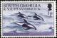 Colnect-5166-852-Hourglass-Dolphin-Lagenorhynchus-cruciger.jpg