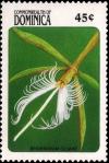 Colnect-2293-270-Epidendrum-Ciliare.jpg