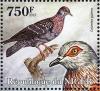 Colnect-4914-468-Speckled-Pigeon----Columba-guinea.jpg