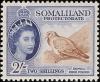 Colnect-5138-394-Somali-Pigeon-Columba-oliviae-.jpg