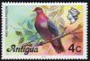 Colnect-5673-040-Scaly-naped-Pigeon-Patagioenas-squamosa.jpg