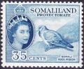 Colnect-1280-451-Somali-Pigeon-Columba-oliviae-.jpg