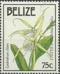 Colnect-1792-132-Epidendrum-ciliare.jpg
